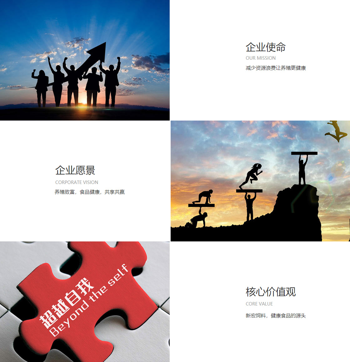 开云综合官方(图1)